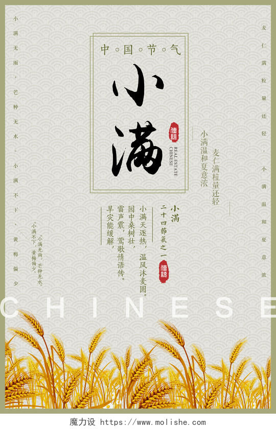 中国节气小满小麦温和夏意浓简约宣传海报
